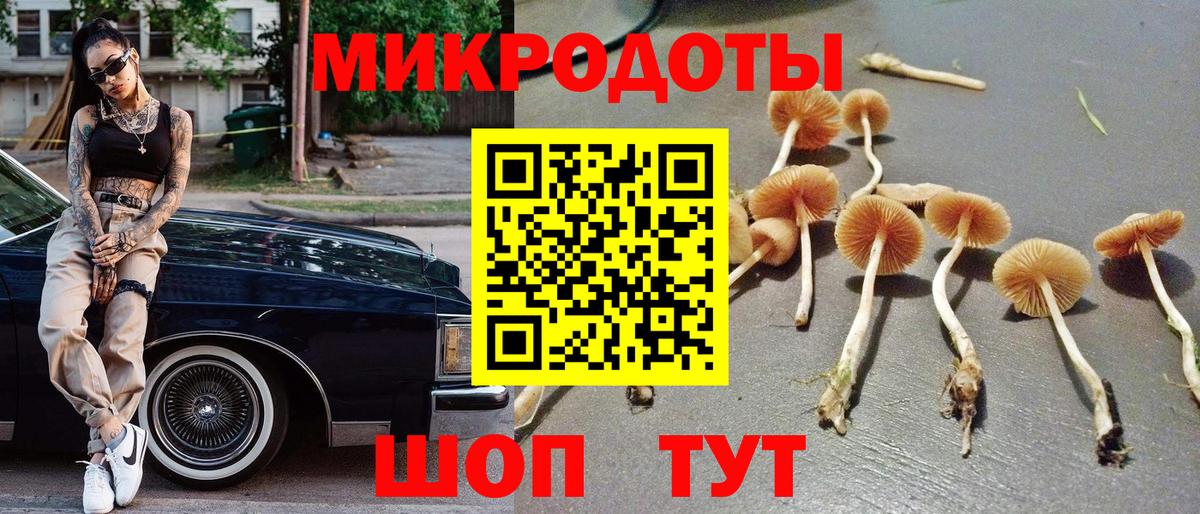 Майский  Псилоцибиновые грибы Psilocybine cubensis  Вход с VPN  Псилоцибиновые грибы GOLDEN TEACHER 