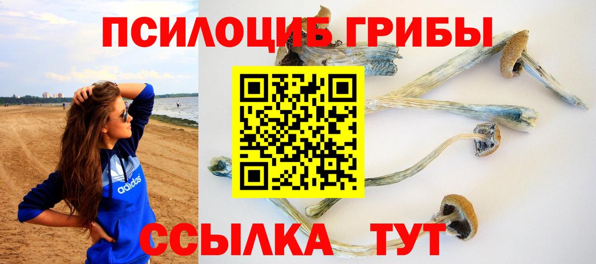 Галлюциногенные грибы Cubensis Майский